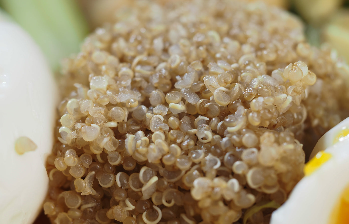 A Sneak Peek into the Quinoa Grain