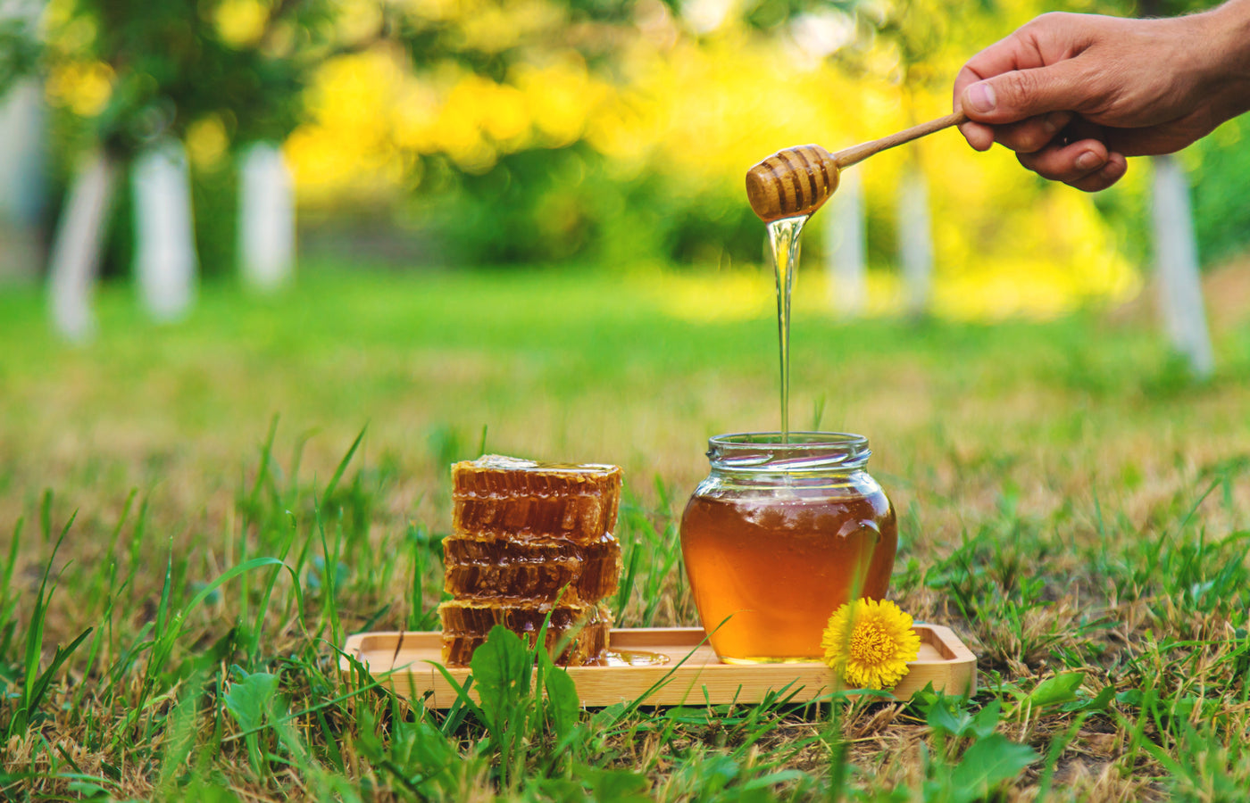 Boost Your Immunity: 5 Health Benefits of Organic Honey