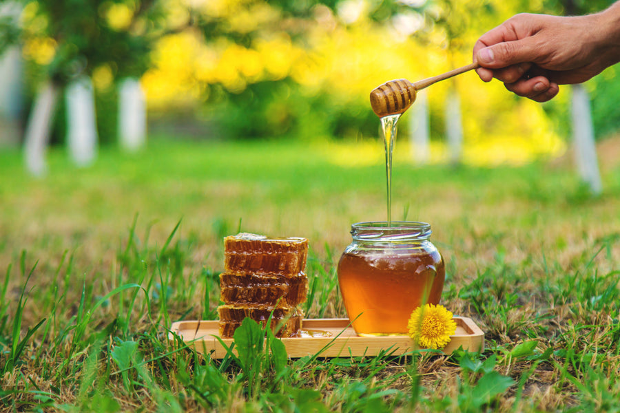 Boost Your Immunity: 5 Health Benefits of Organic Honey