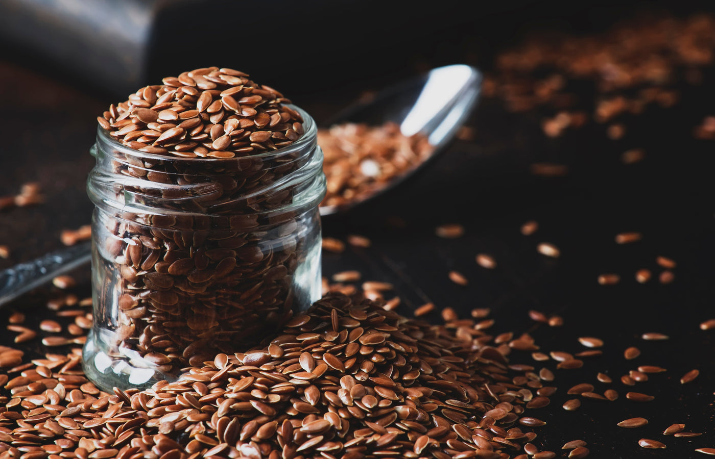Everything You Need to Know About Flaxseeds