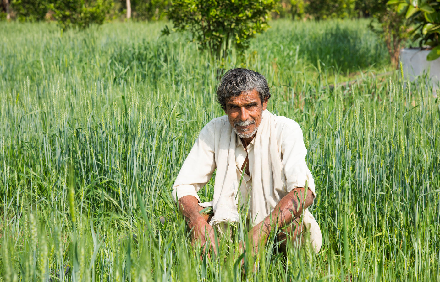 Healthy Living with Organic Food Products