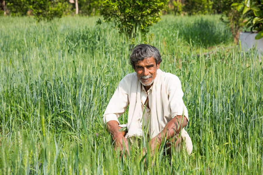 Healthy Living with Organic Food Products