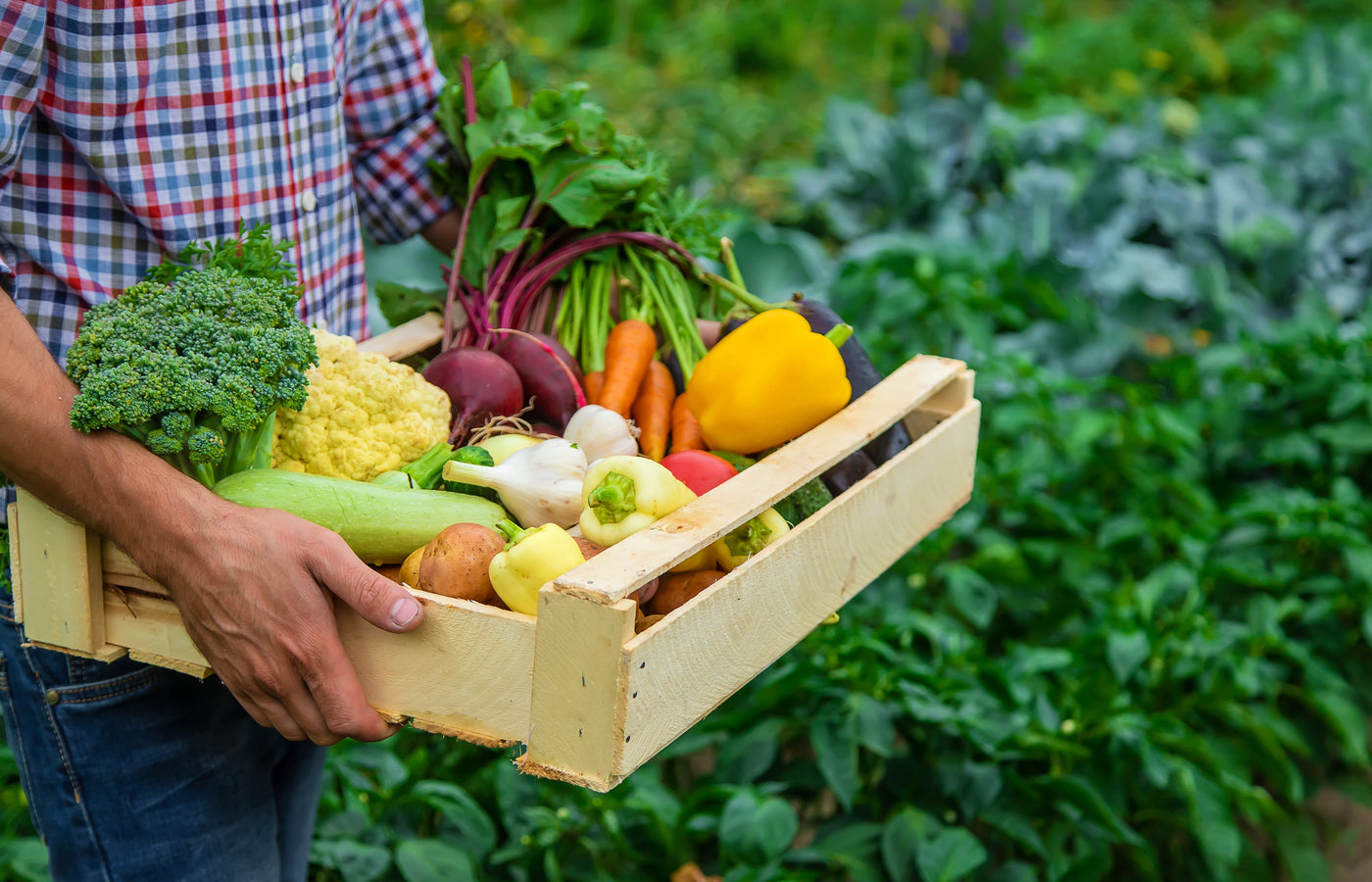 How to Incorporate Organic Foods into a Busy Lifestyle