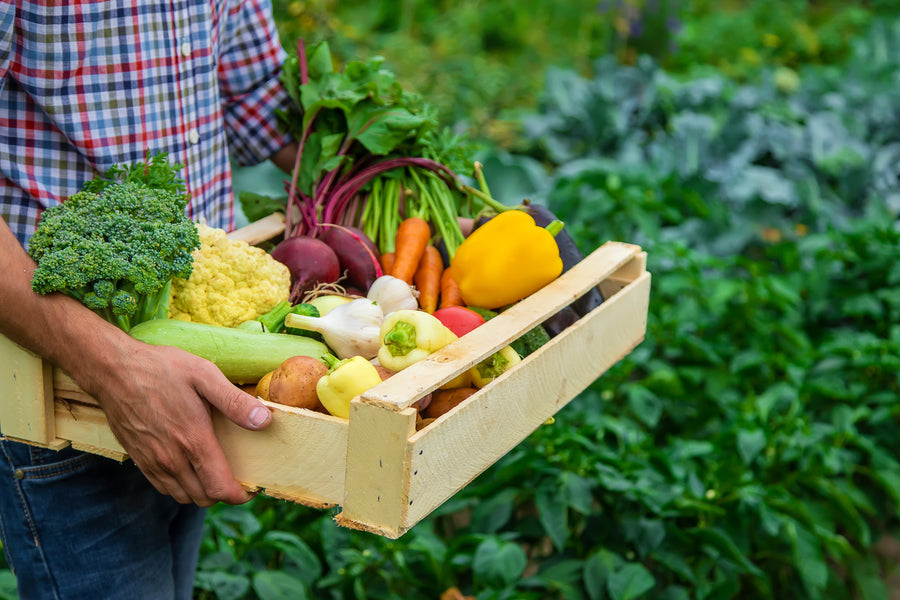 How to Incorporate Organic Foods into a Busy Lifestyle