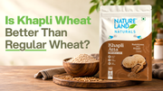 Is Khapli Wheat Better Than Regular Wheat? | Natureland Organics