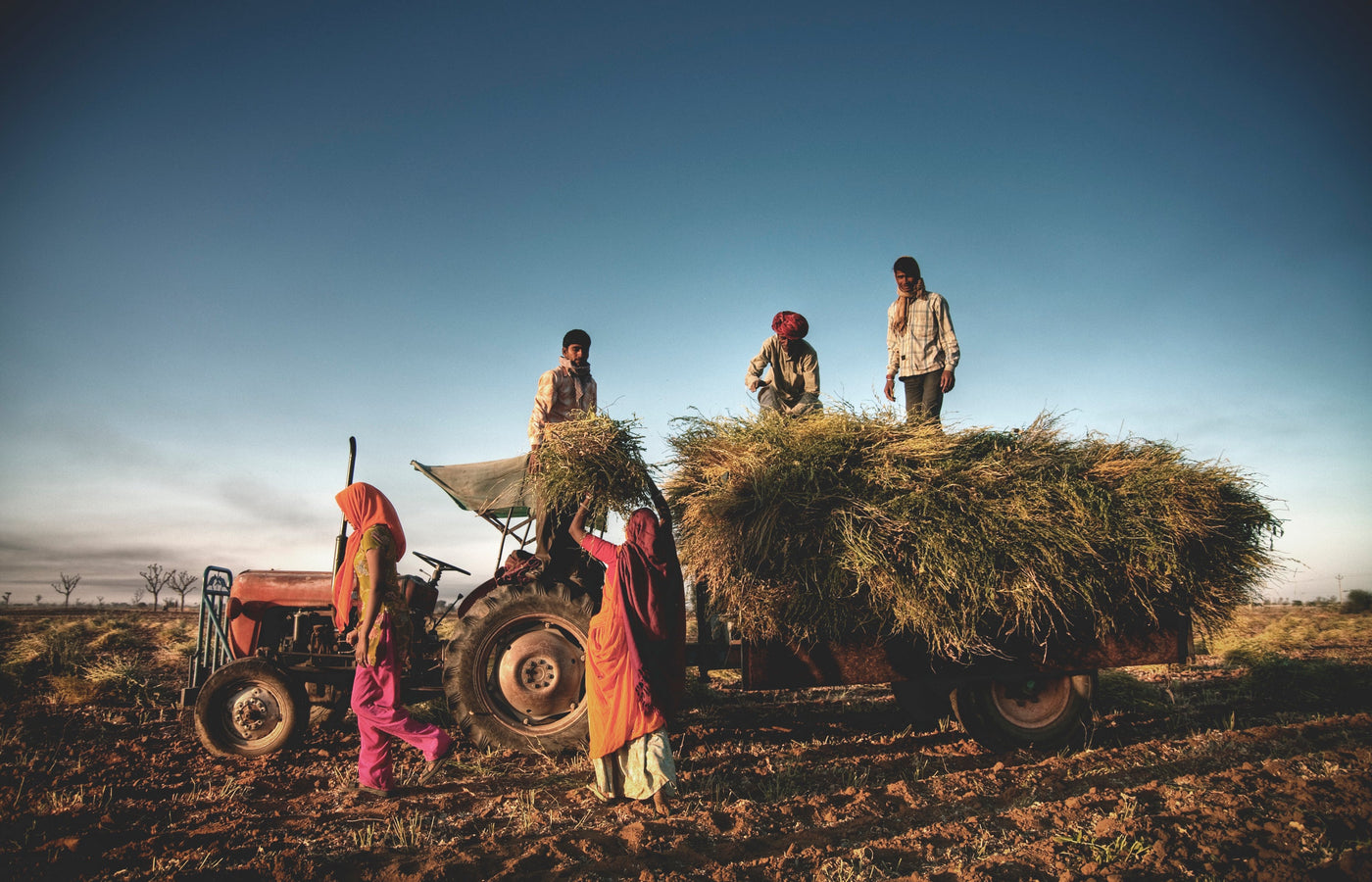 Natureland Organics Commits to PM Modi's Global Mission for Indian Food Products