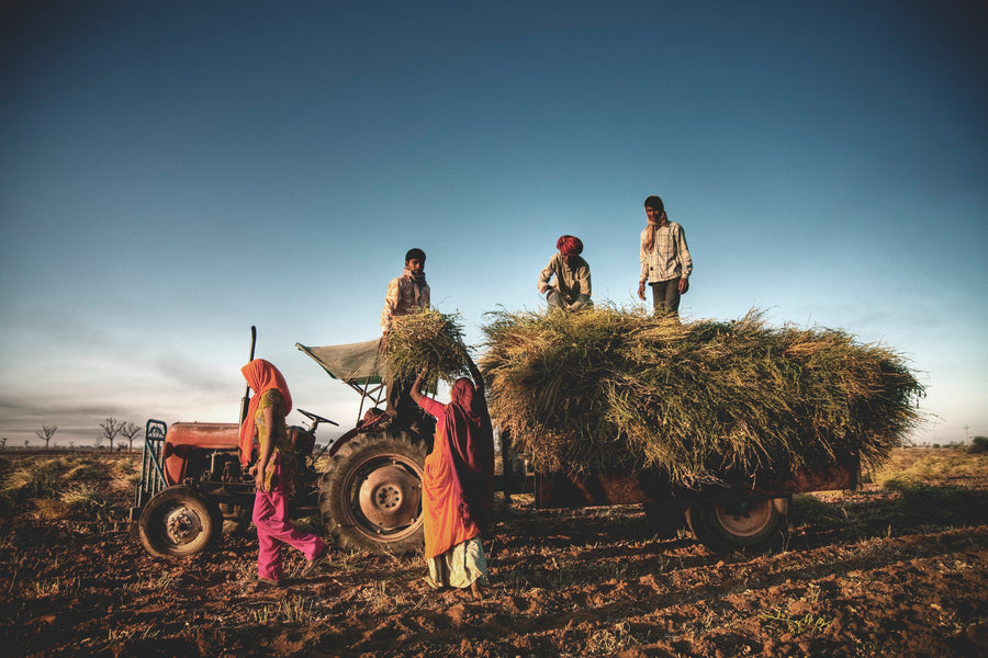 Natureland Organics Commits to PM Modi's Global Mission for Indian Food Products