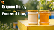 Organic Honey vs Processed Honey: What's Actually in Your Jar?