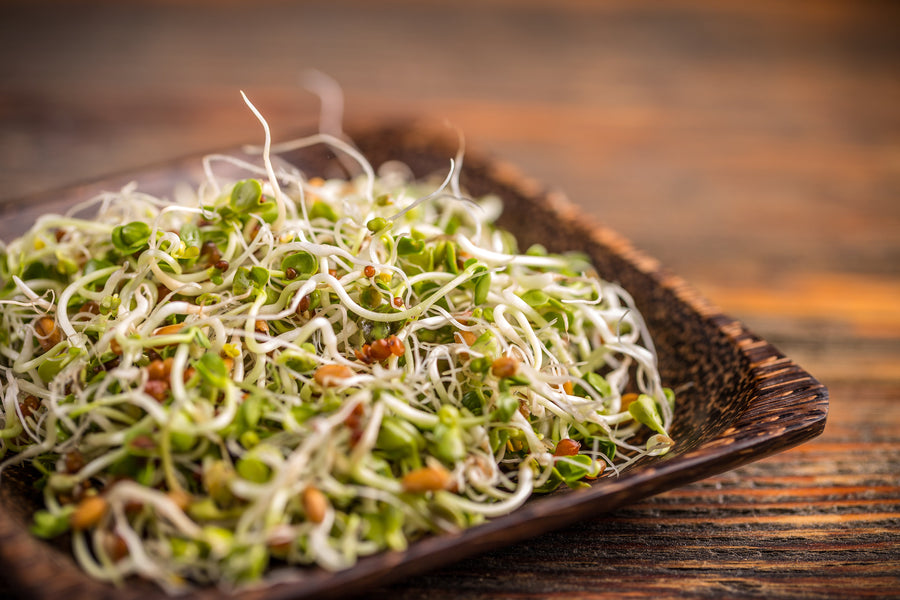 Organic Pulses Sprouts Types and Its Benefits!