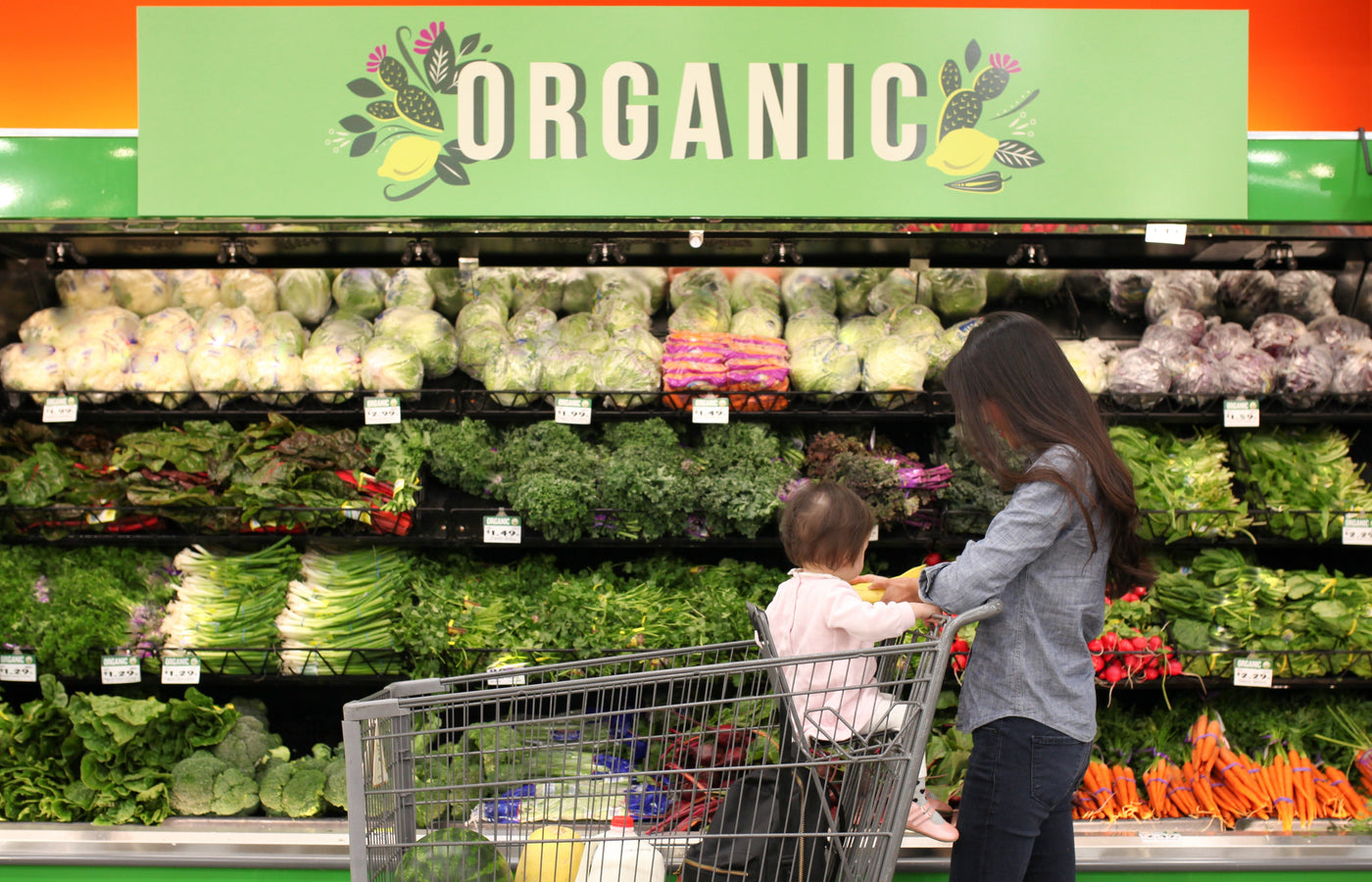 Organic vs. Processed: Decoding the Nutritional Differences
