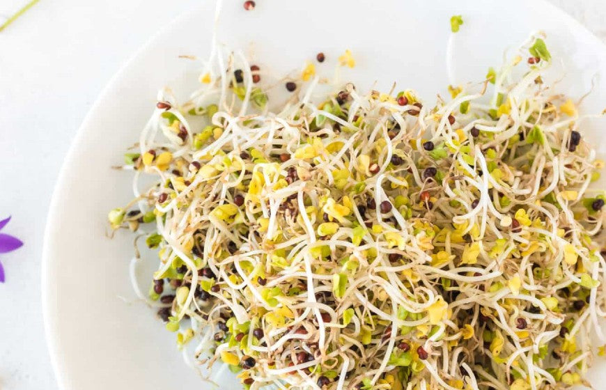 Organic Pulses Sprouts Types and Its Benefits! Natureland Organics