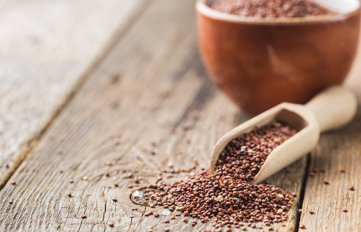 The Nutritional Powerhouse - Unleashing the Benefits of Organic Ragi