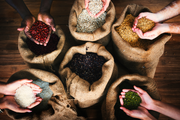 Uses of Organic Seeds: A Natural Boost for Health, Beauty, and Sustainability