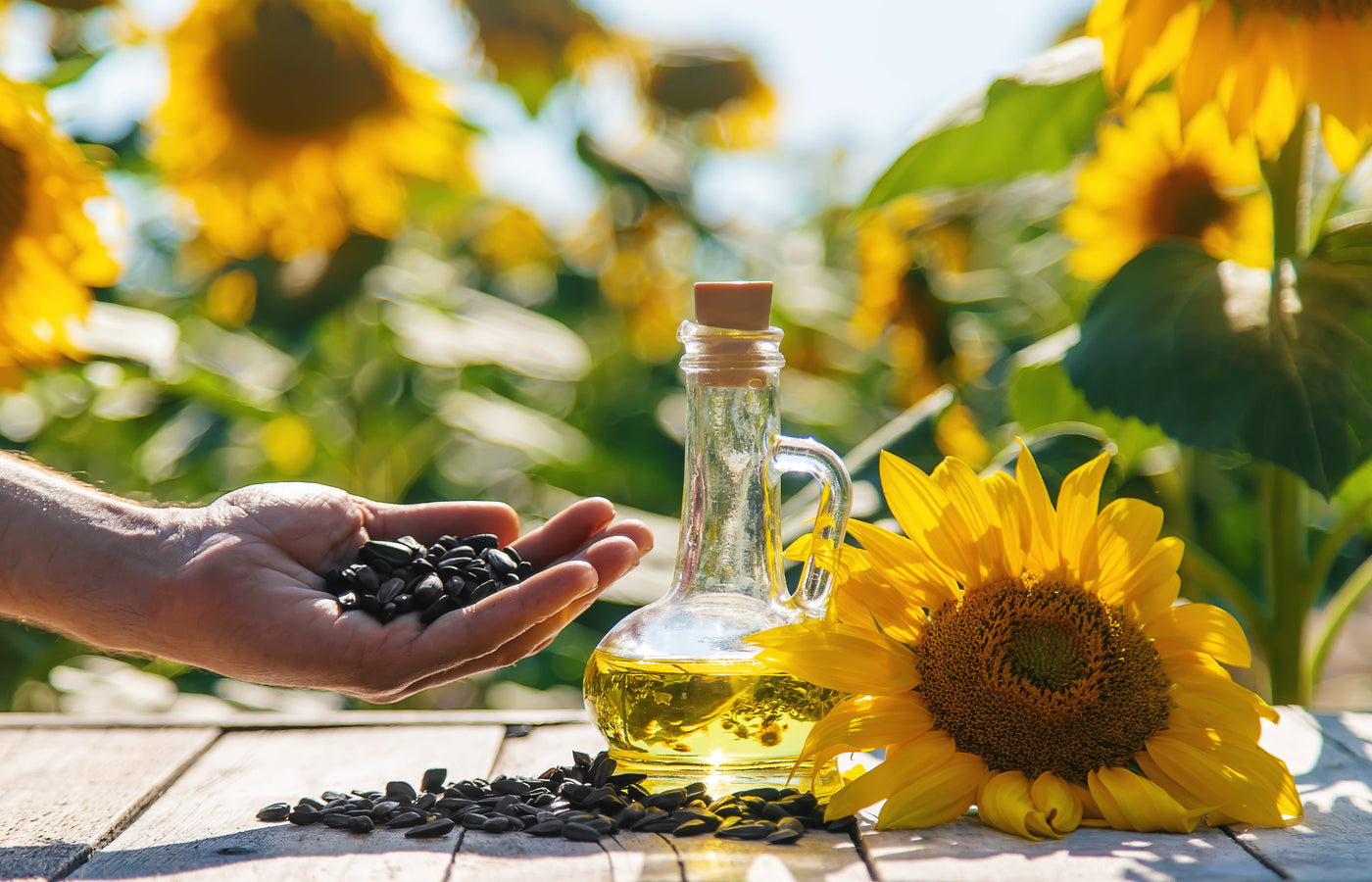 Why Sunflower Oil is a Kitchen Essential
