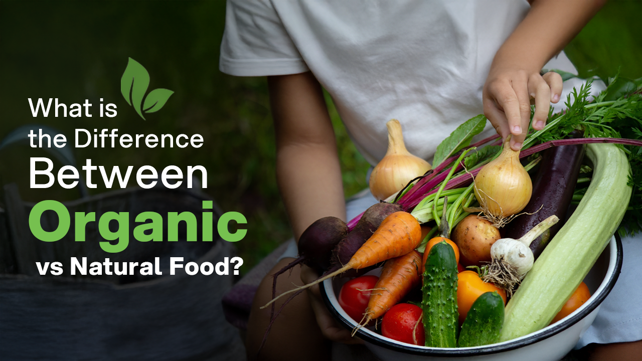 Organic vs Natural Food: What's the Real Difference?