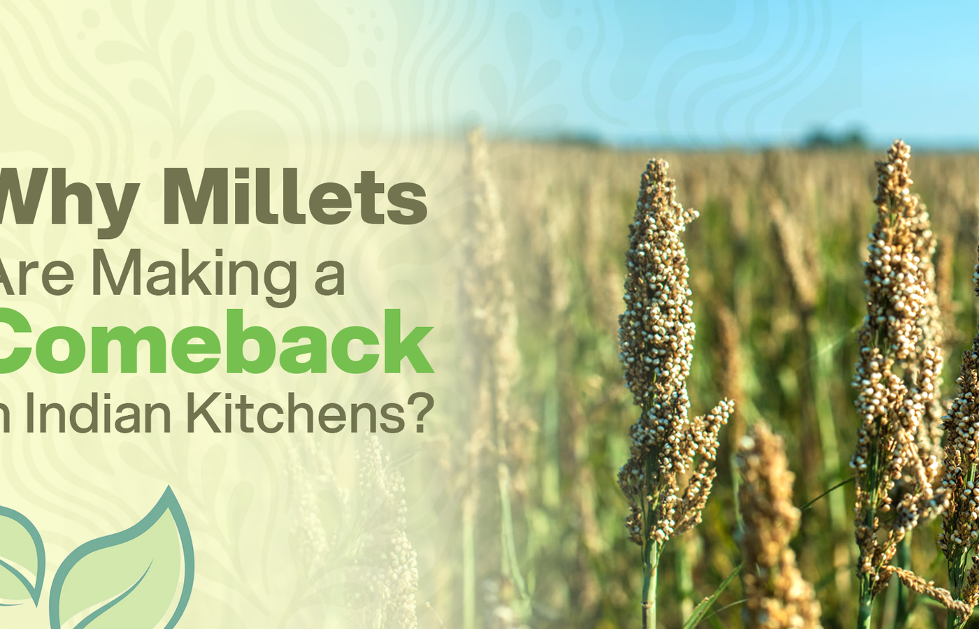 Why Millets Are Making a Comeback in Indian Kitchens | Natureland Organics