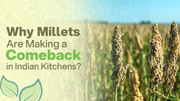 Why Millets Are Making a Comeback in Indian Kitchens | Natureland Organics