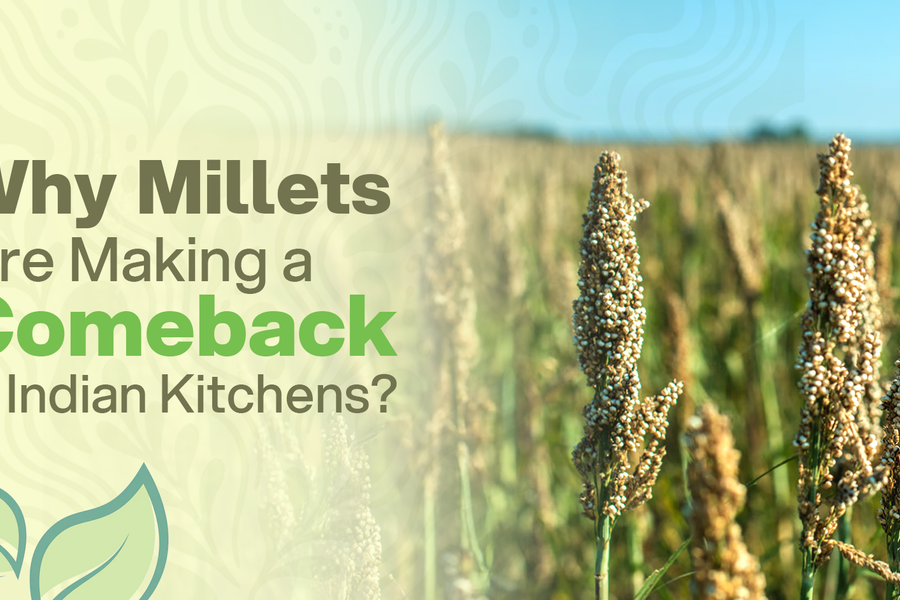Why Millets Are Making a Comeback in Indian Kitchens | Natureland Organics