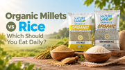 Organic Millets vs Rice: Which Should You Eat Daily? | Natureland Organics