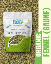 Organic Fennel (Saunf) 100 Gm