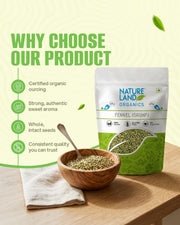 Organic Fennel (Saunf) 100 Gm