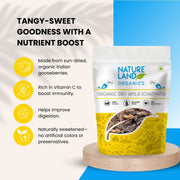 Organic Amla Candy Chatpata 100 Gm