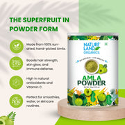 Organic Amla Powder 100 Gm