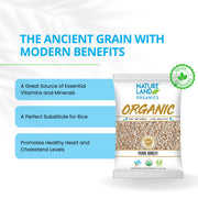 Organic Pearl Barley 500 Gm