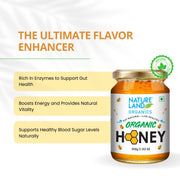 Organic Honey 500 Gm