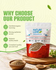 Organic Ajwain (Carom Seeds) 100 Gm