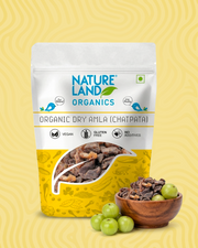 Organic Amla Candy Chatpata 100 Gm