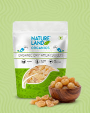 Organic Amla Candy Sweet 100 Gm
