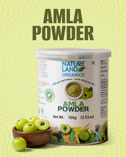 Organic Amla Powder 100 Gm