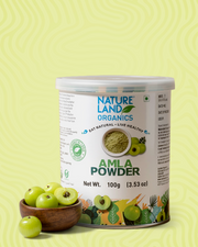 Organic Amla Powder 100 Gm