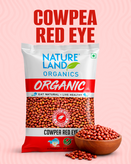 Organic Cowpea Red/Lobhia 500 Gm