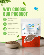 Organic Cumin Whole 100 Gm