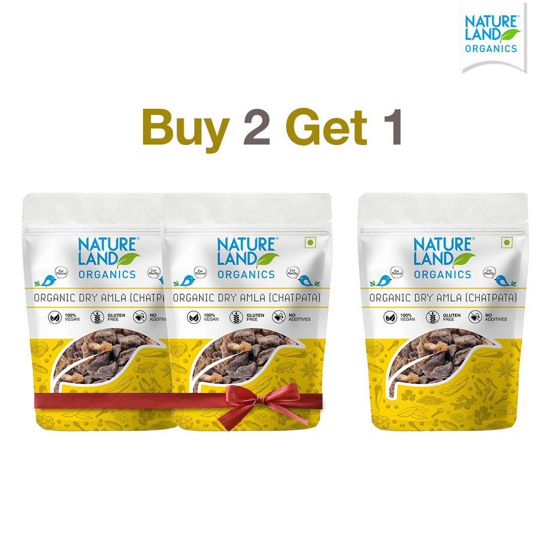Organic Amla Candy Chatpata 100 Gm - Buy 2 Get 1 free image 2