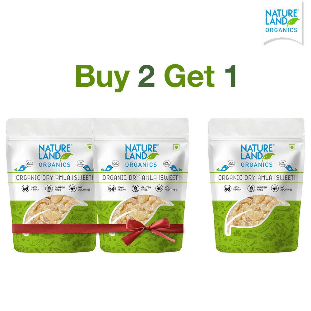 Organic Amla Candy Sweet 100 Gm - Buy 2 Get 1 free image 2
