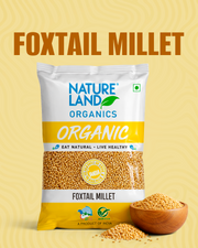 Organic Foxtail Millet 500 gm