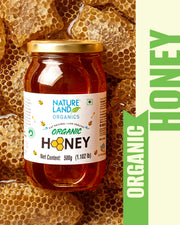 Organic Honey 500 Gm