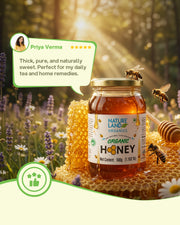 Organic Honey 500 Gm