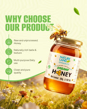 Organic Honey