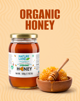 Organic Honey 250 Gm