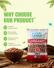 Organic Peanuts 500 Gm