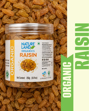 Organic Raisins 250 Gm