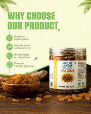 Organic Raisins 250 Gm