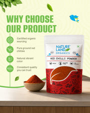 Organic Red Chilli Powder 100 Gm
