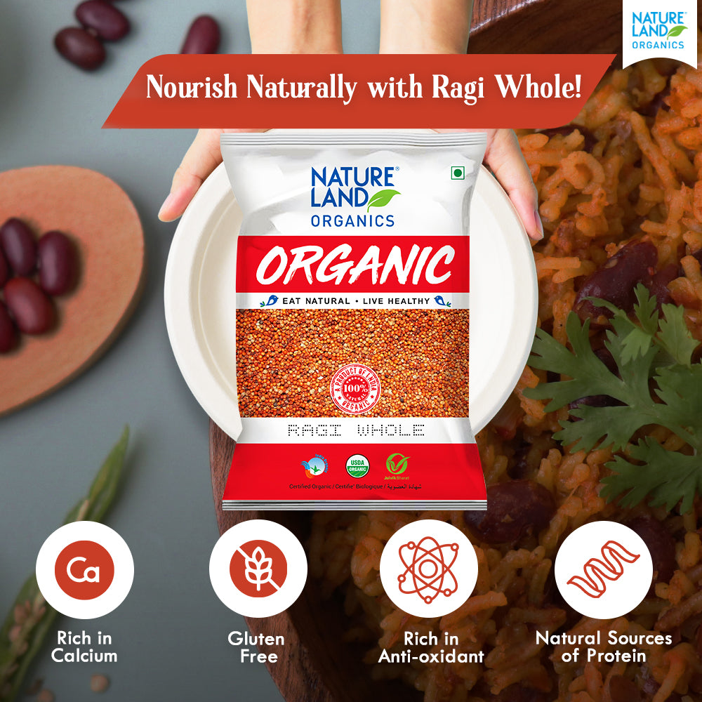 Organic Ragi Buy Organic Ragi Whole Online (1kg) | Natureland Organics