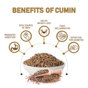 Organic Cumin Whole 100 Gm
