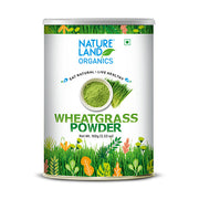 Organic Wheat Grass Powder Online 100 Gm